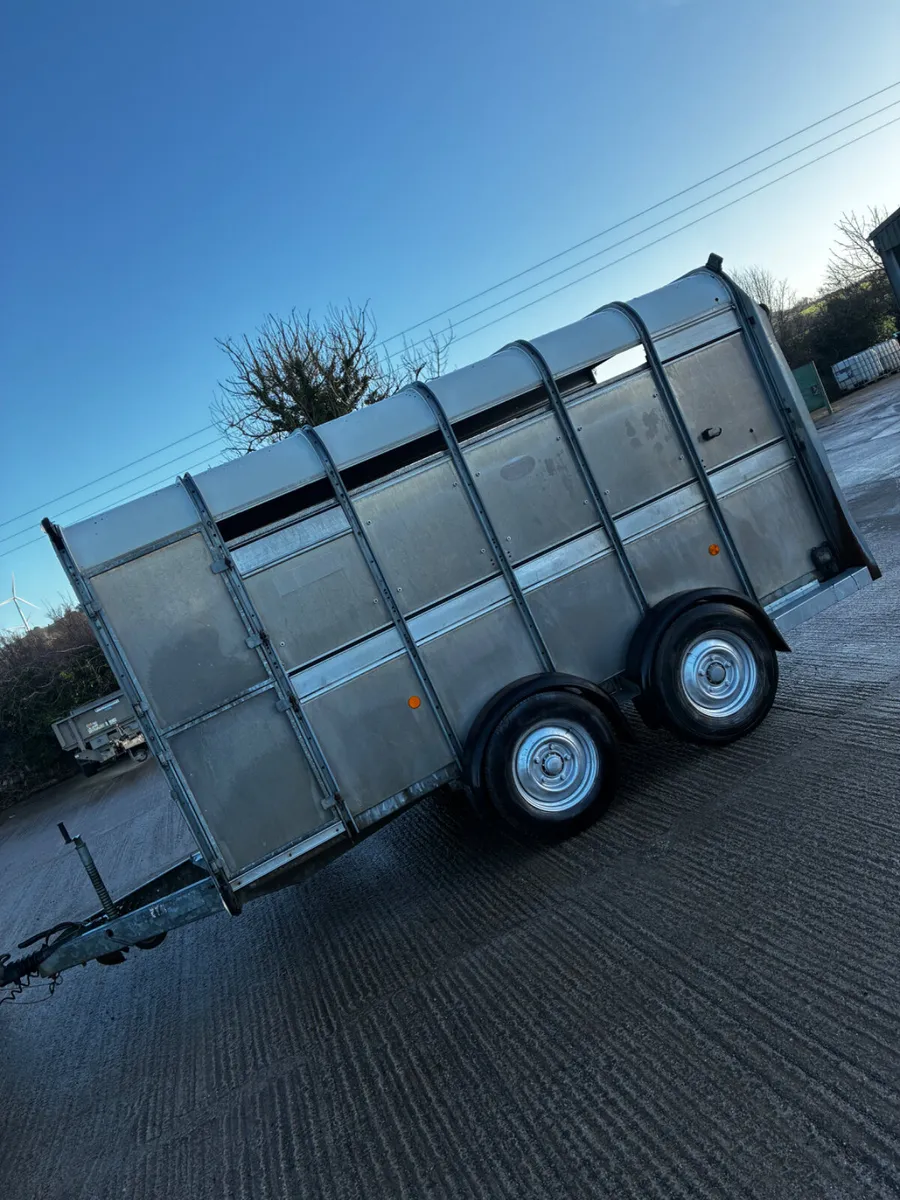 12ft Ifor Williams livestock trailer with decks - Image 4