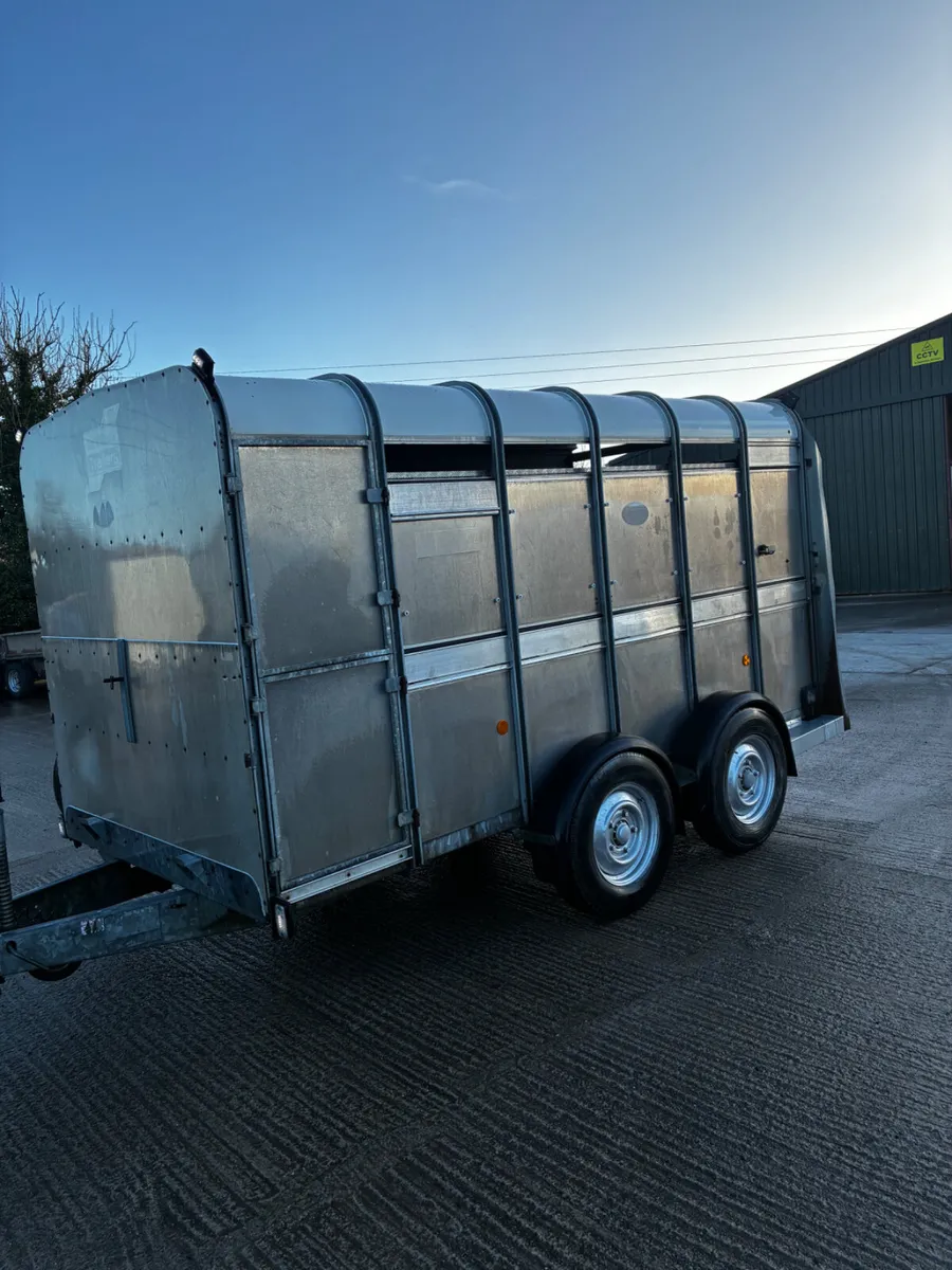 12ft Ifor Williams livestock trailer with decks - Image 2