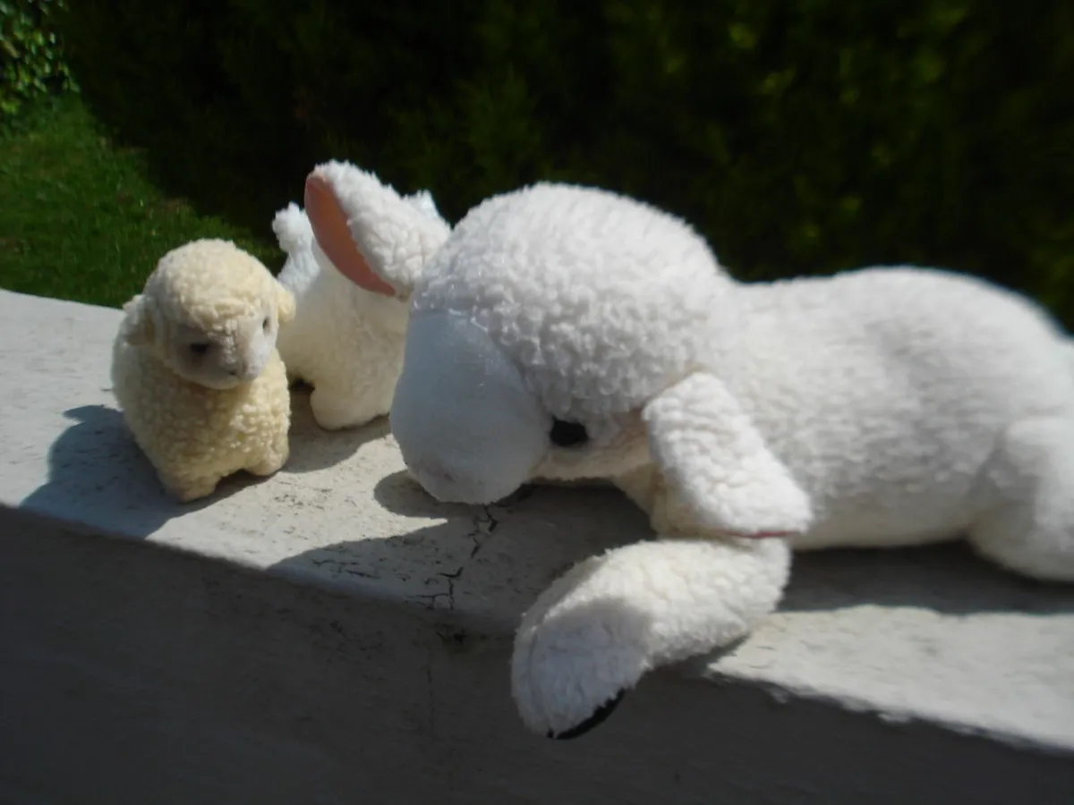 SHEEP & 2 LAMBS CUDDLY TOYS. - Image 1