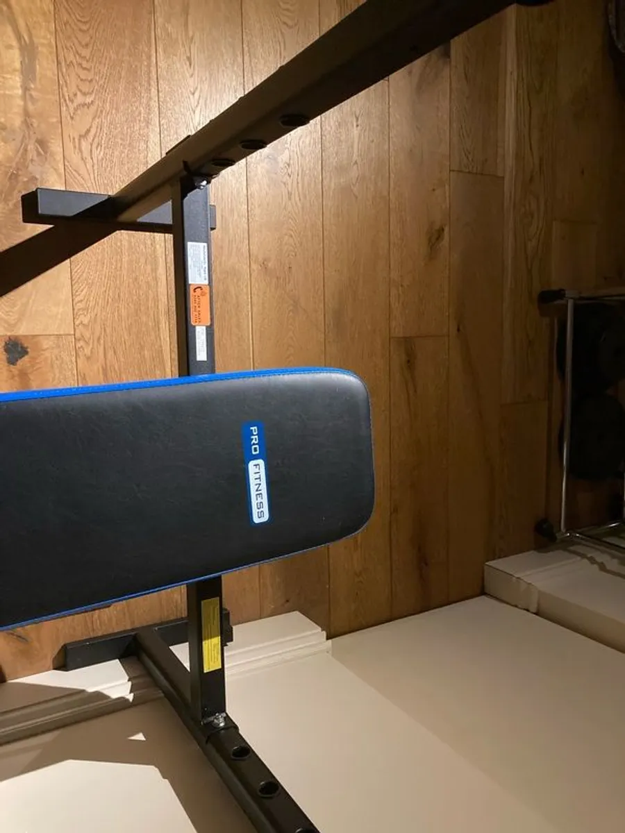 Weights Bench - Image 3