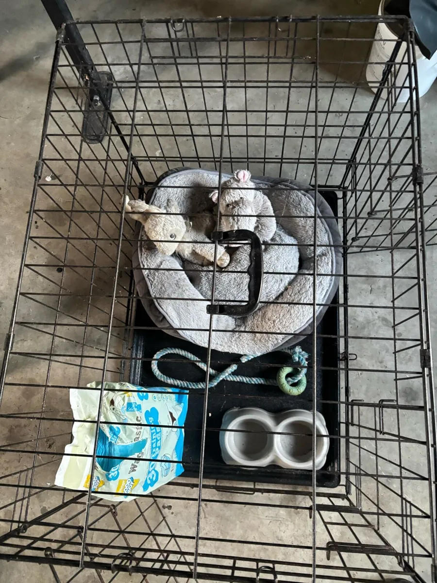 Dog cage - Image 1
