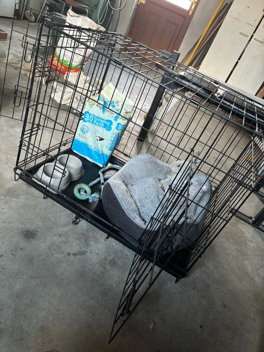 Dog cage - Image 2
