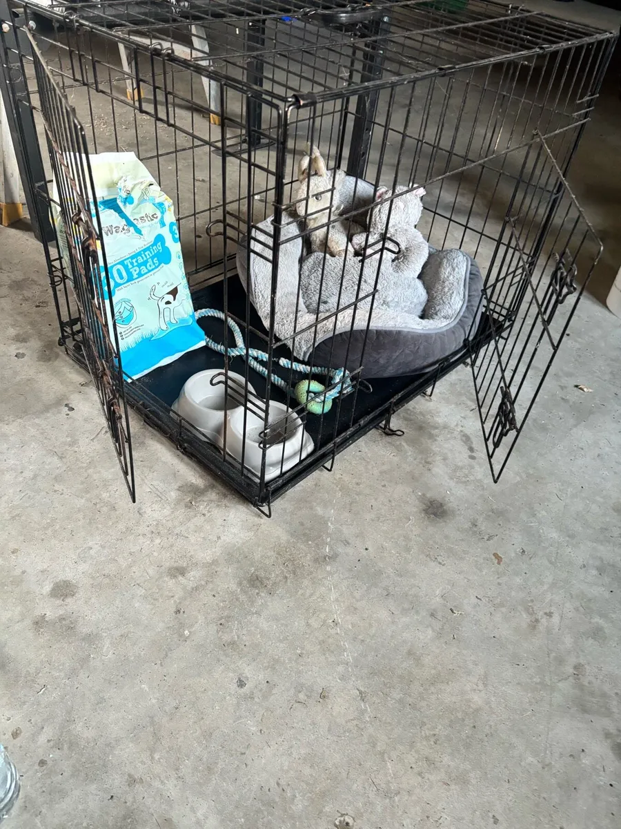 Dog cage - Image 3