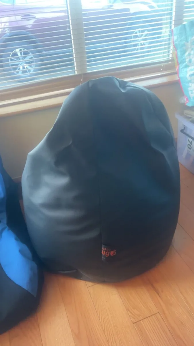 Leather Bean Bag - Image 2