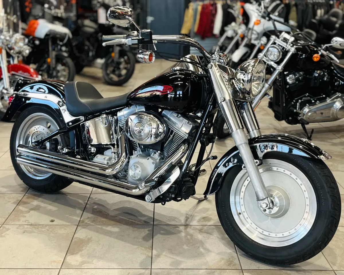 HARLEY-DAVIDSON SOFTAIL CUSTOM - Image 2