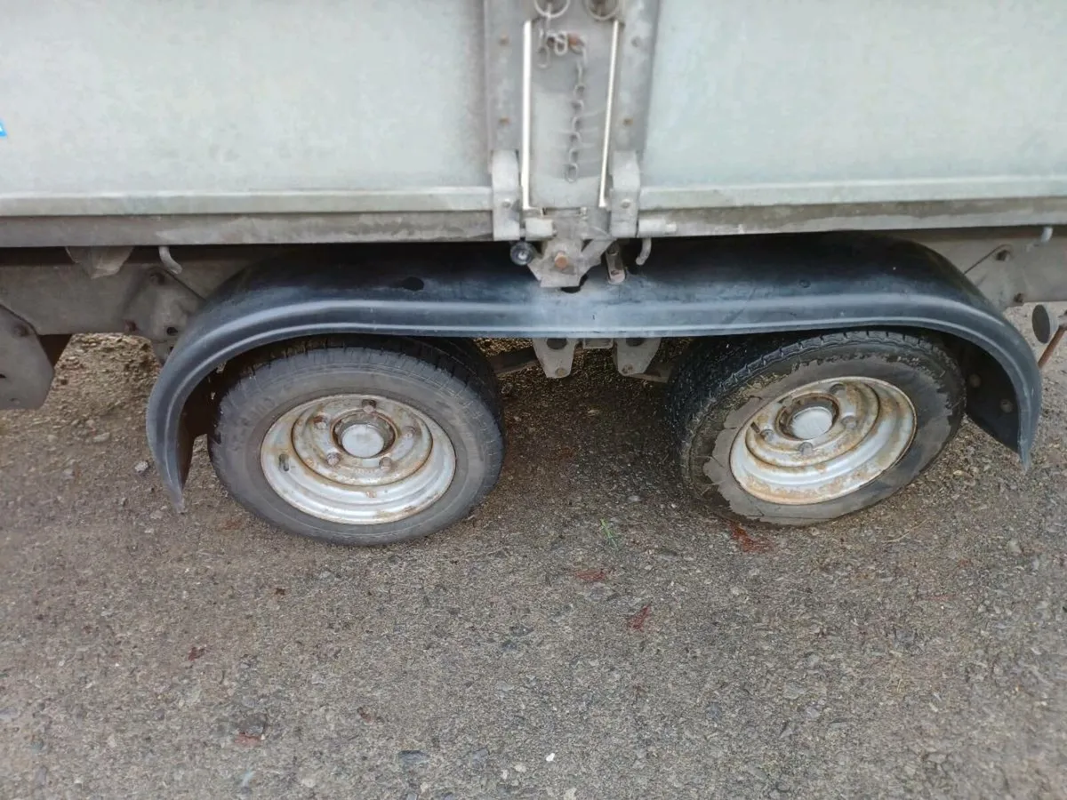 Ifor williams 10x 5'6 tipper, £3950- €4500 - Image 3