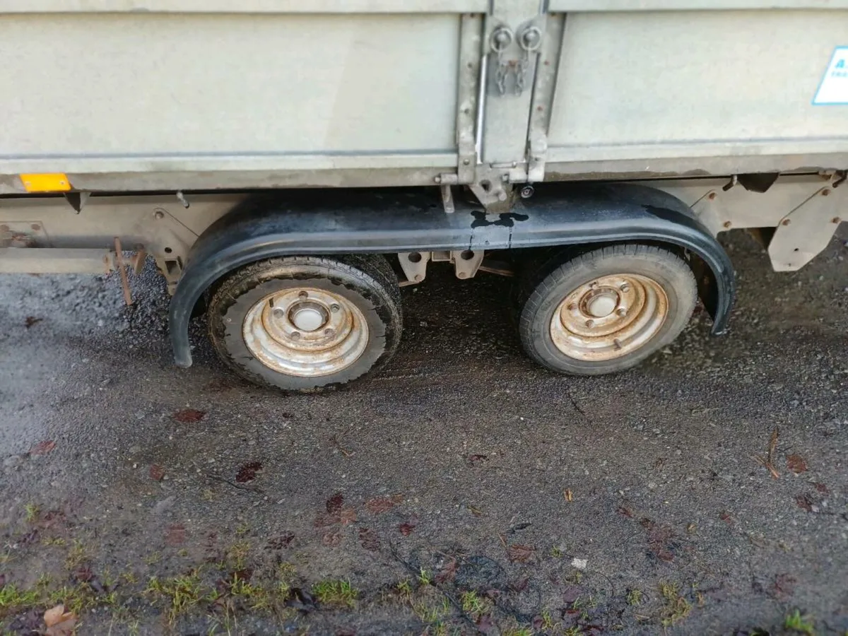 Ifor williams 10x 5'6 tipper, £3950- €4500 - Image 4