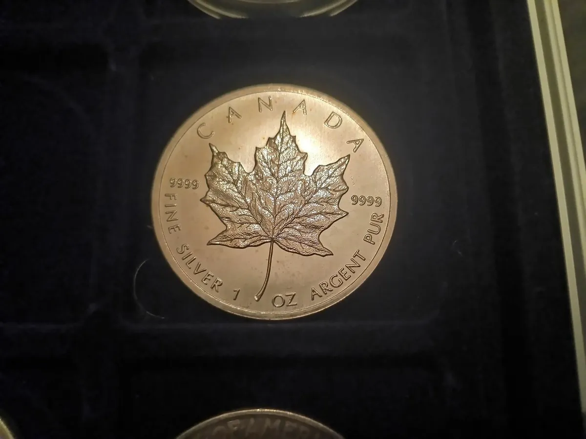 7x 1 OZ Silver Coins, USA, Euro, Canada - Image 3