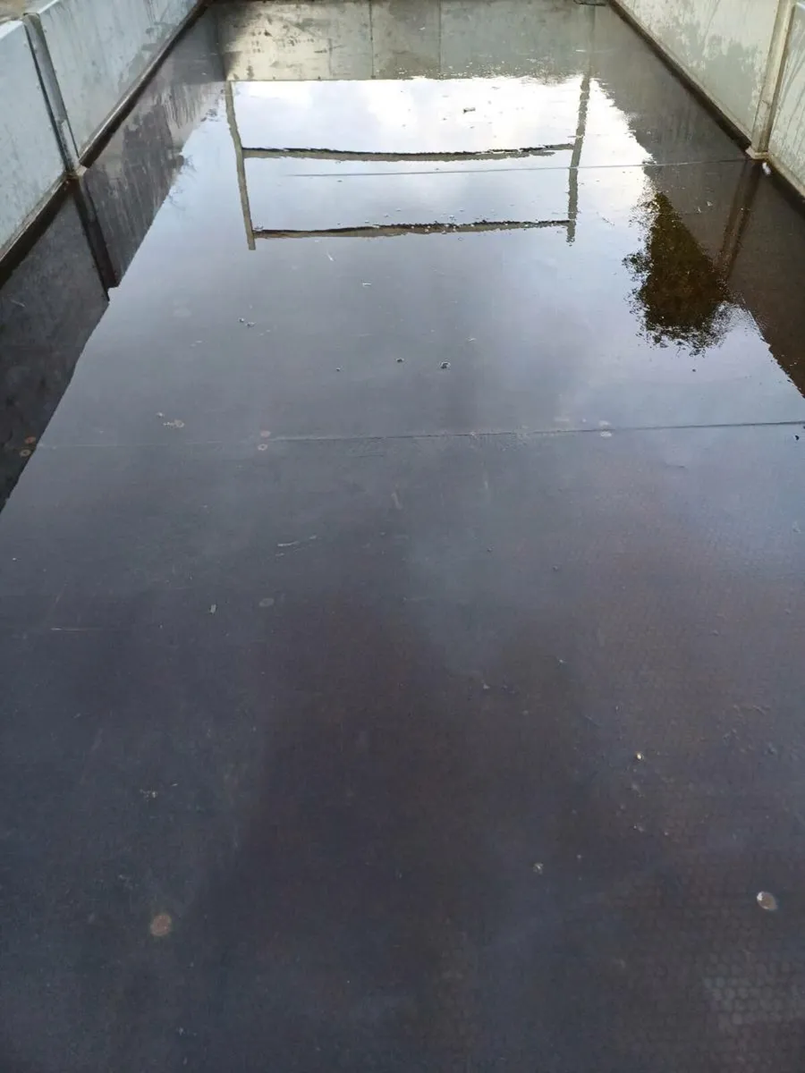 Ifor williams 16ft £4250 stg - €4850 euros - Image 4