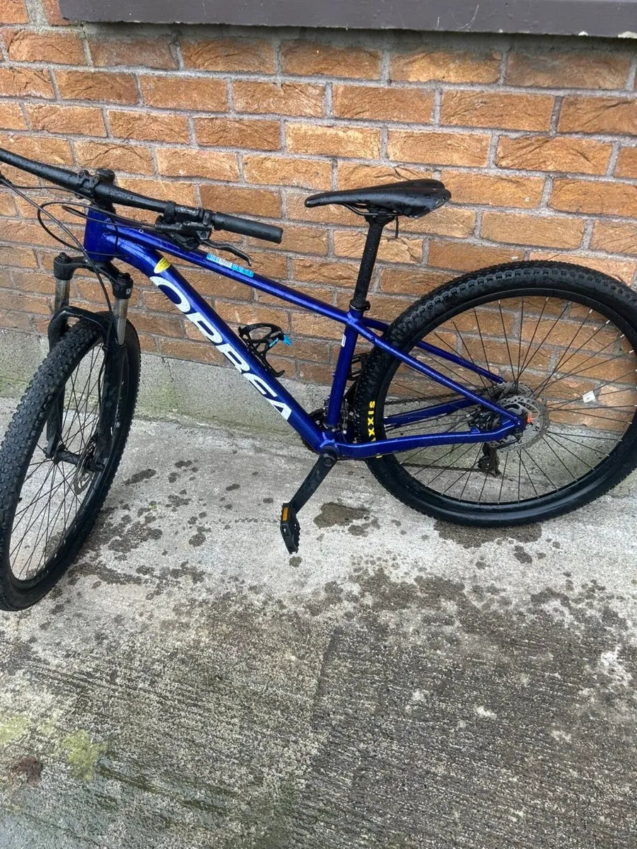 Orbea Bike - Image 2