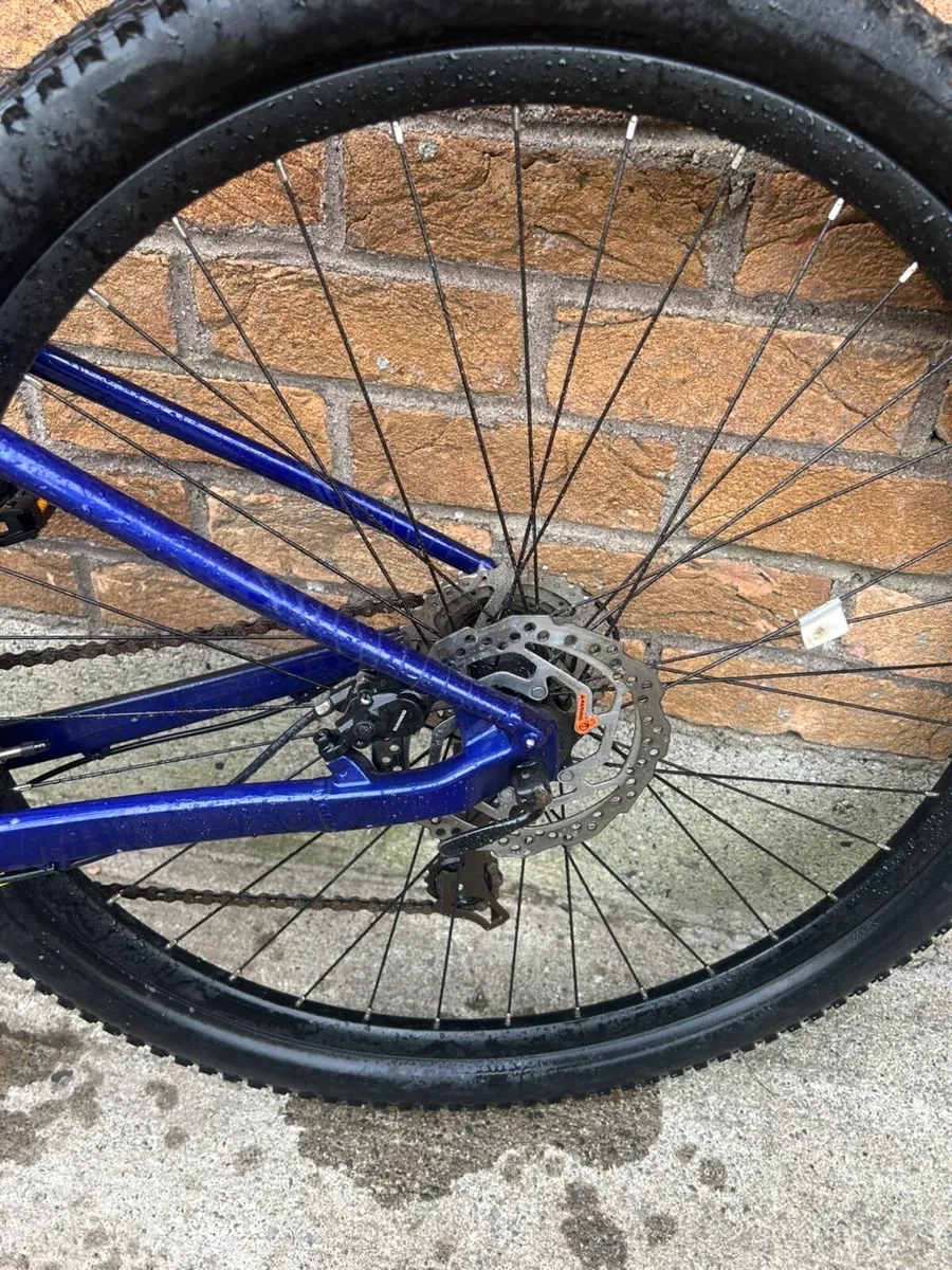 Orbea Bike - Image 4