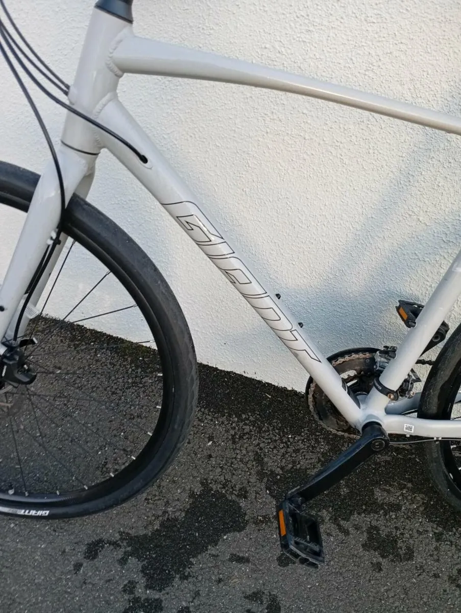 Giant Escape Large - Image 2