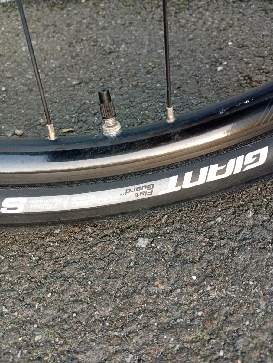 Giant Escape Large - Image 4