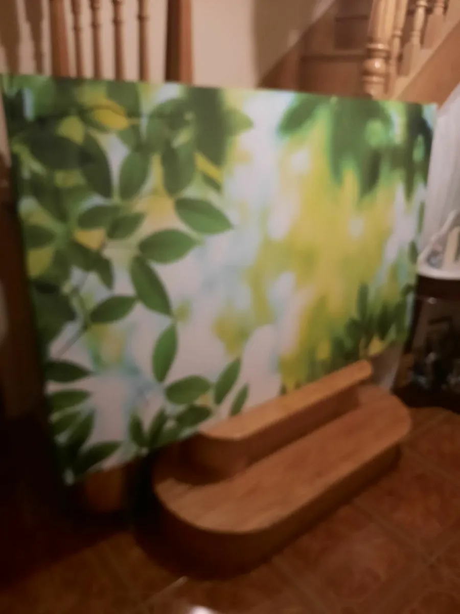 large picture - Image 3