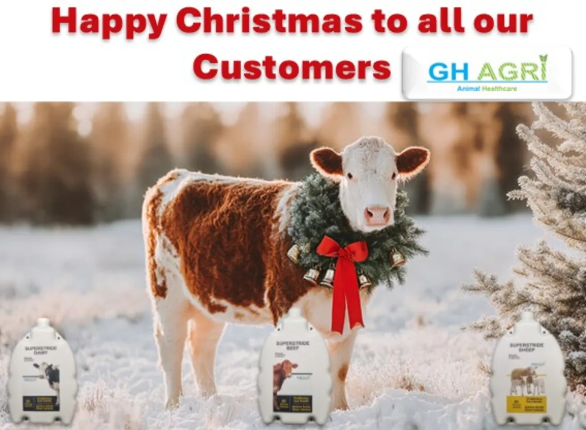 Scc & Mastitis Herd Health Program - Image 2