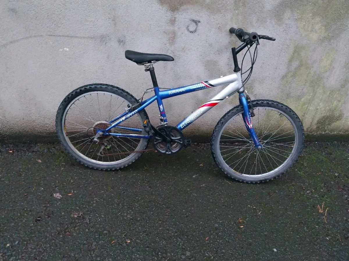 Teens mountain bike - Image 1