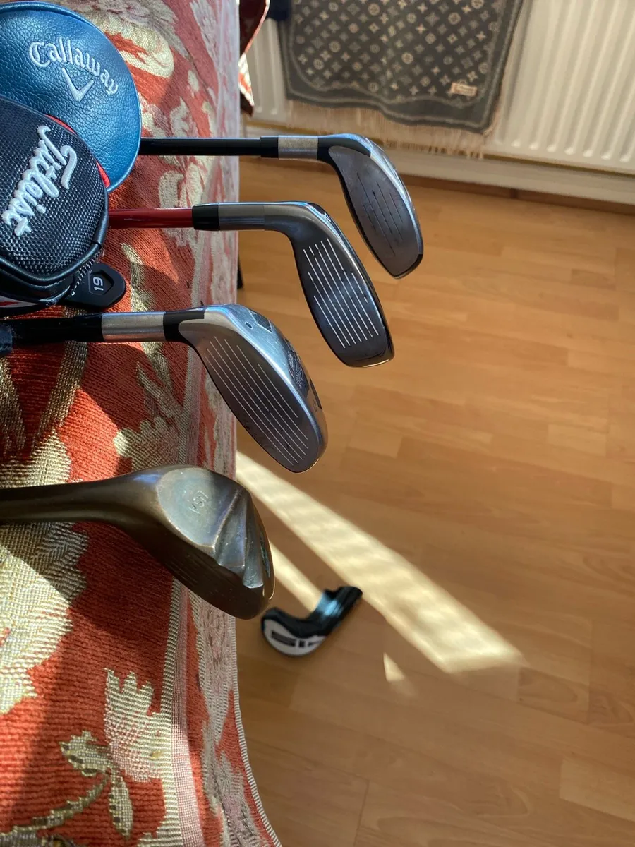 Hybrids sale - Image 2