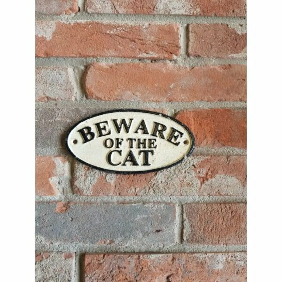 Beware of Cat – Small – HS22