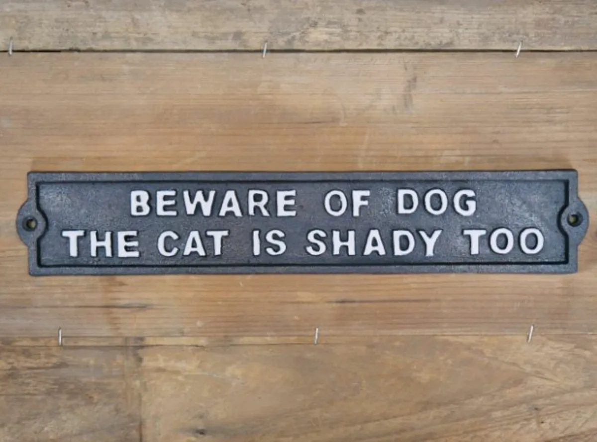 Beware of D0g and Shady Cat – D6134