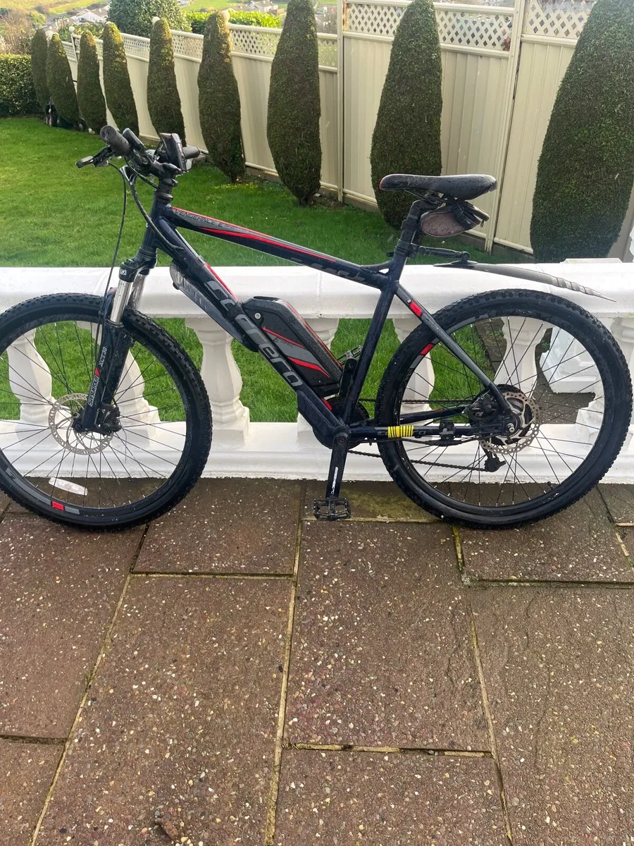 Carrera  Electric bike - Image 1