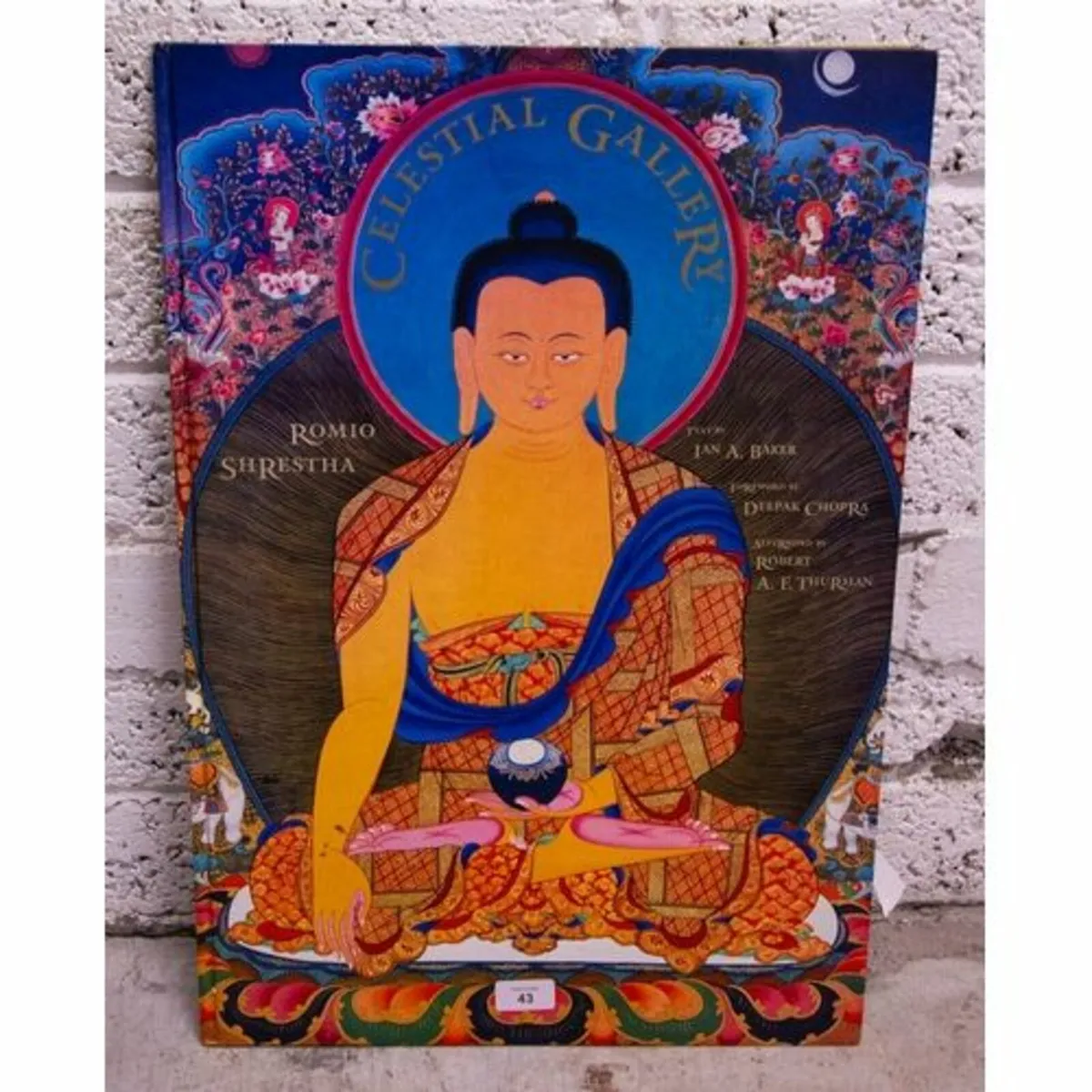 Buddhist illustrated Book