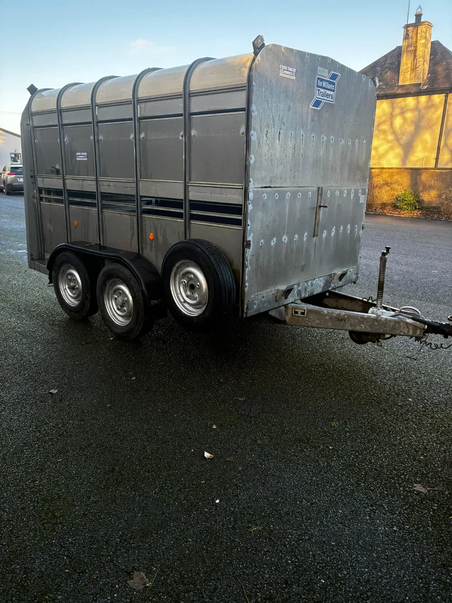 10x5ft 10 iforwilliams cattle box - Image 4