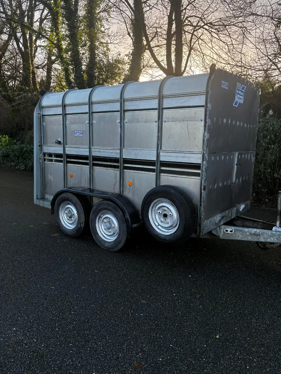 10x5ft 10 iforwilliams cattle box - Image 1