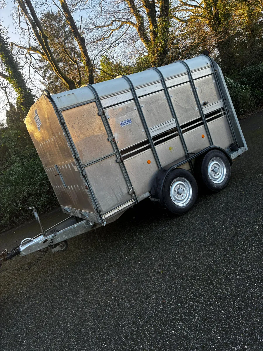 10x5ft 10 iforwilliams cattle box - Image 3