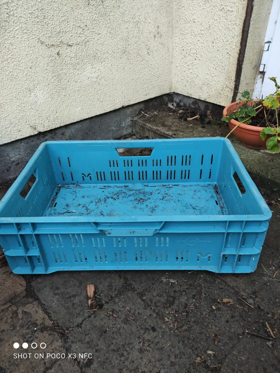 plastic crates 1 blue few grey small and big - Image 1