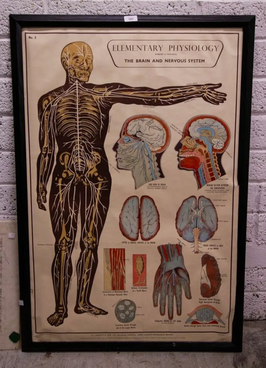 Physiology (original print)