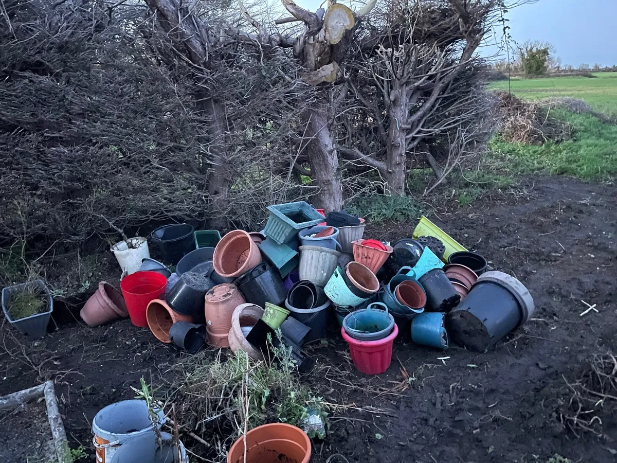 Large bundle plastic pots - Image 1