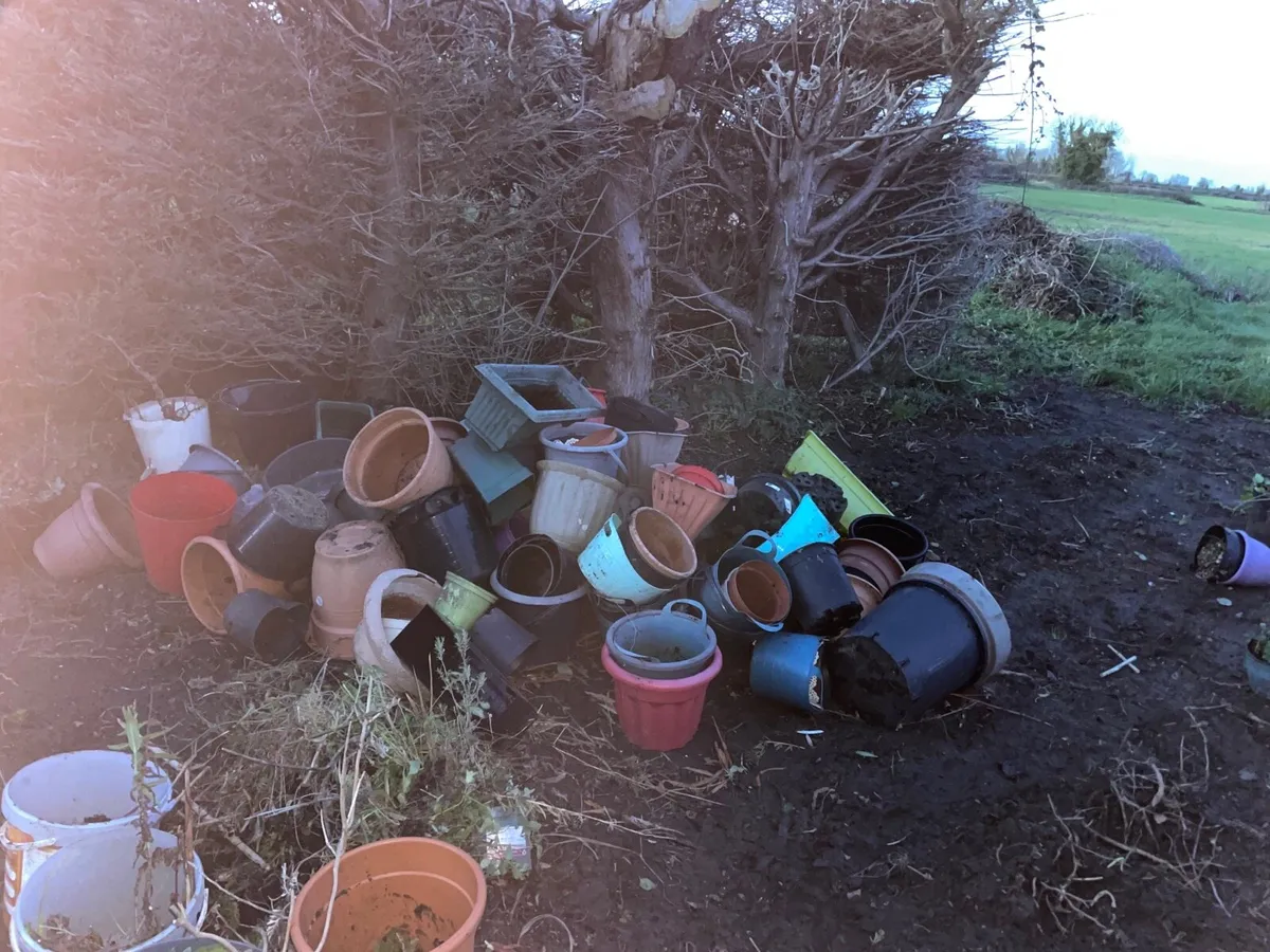 Large bundle plastic pots - Image 2