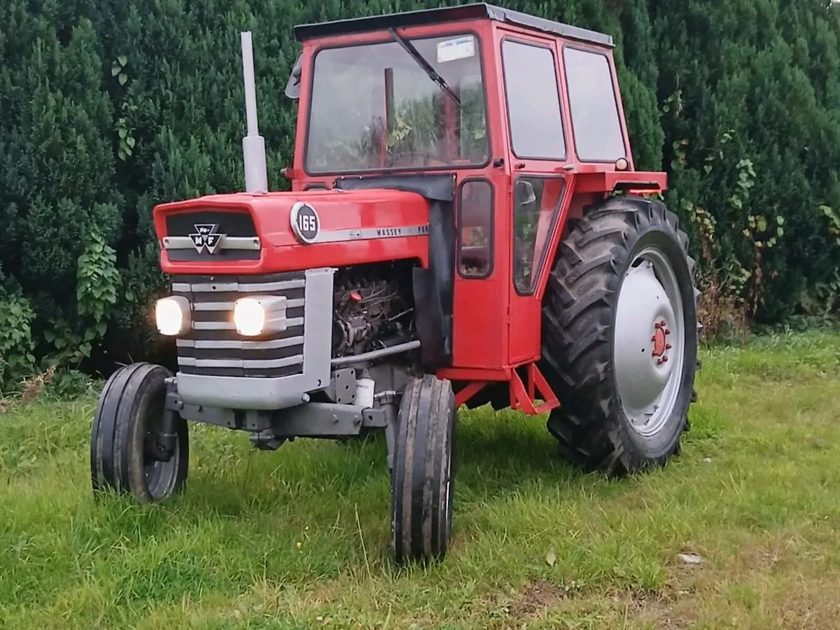 Massey ferguson - Image 3