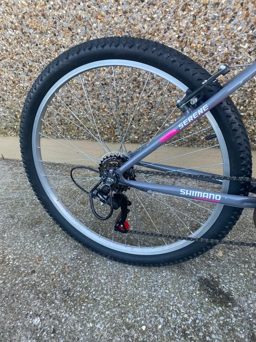 Serene Born To Ride Bike - Image 3