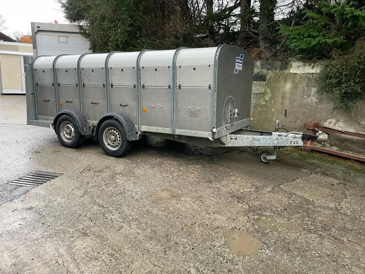 Ifor Williams low roof - Image 1