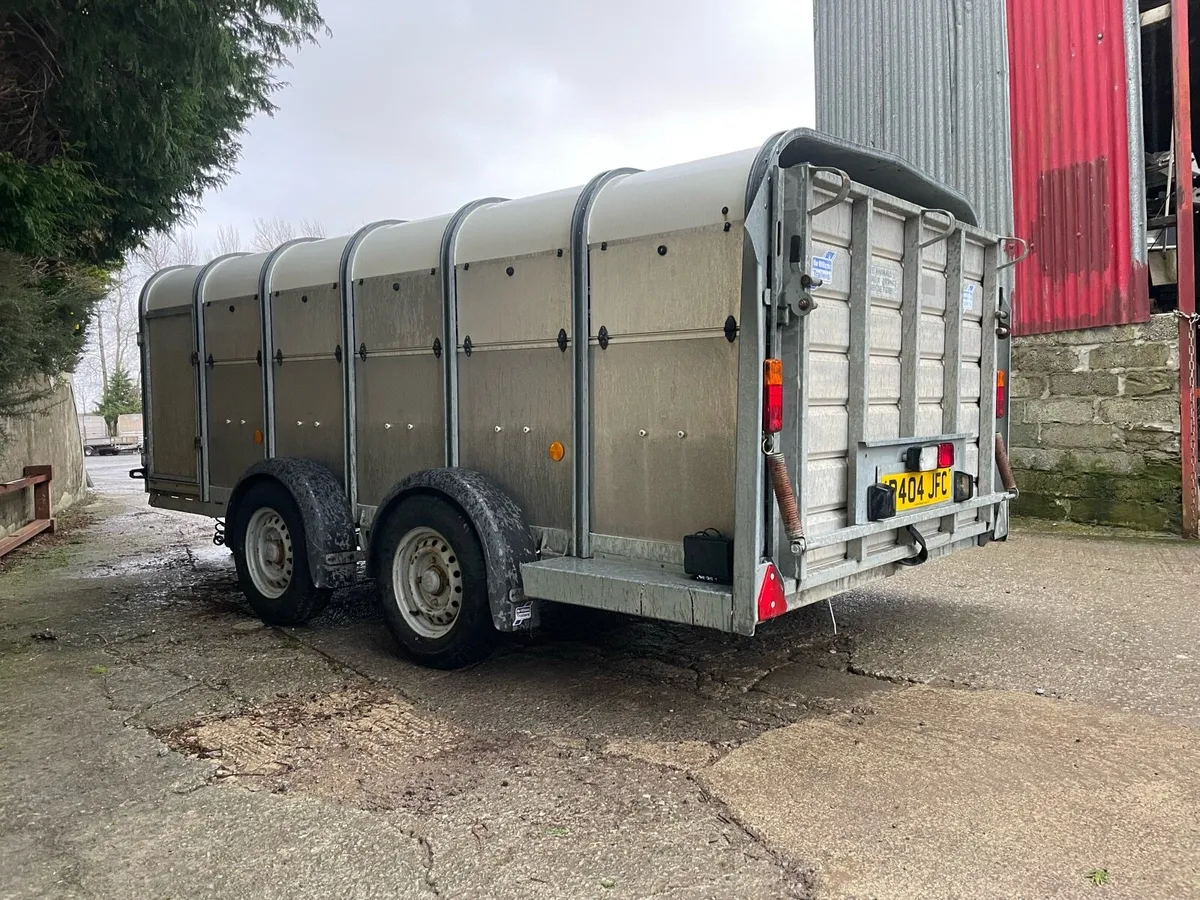 Ifor Williams low roof - Image 2