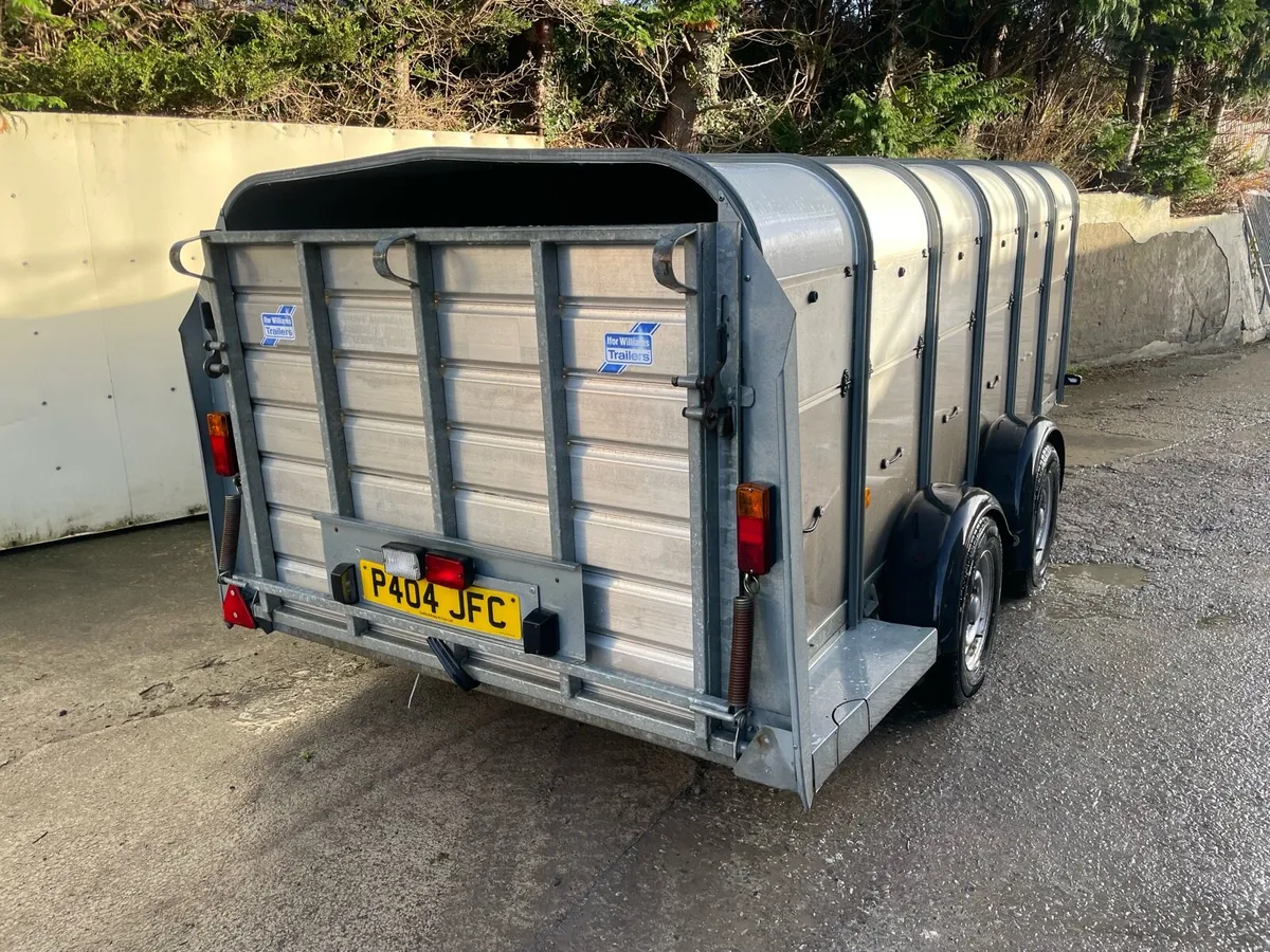 Ifor Williams low roof - Image 4