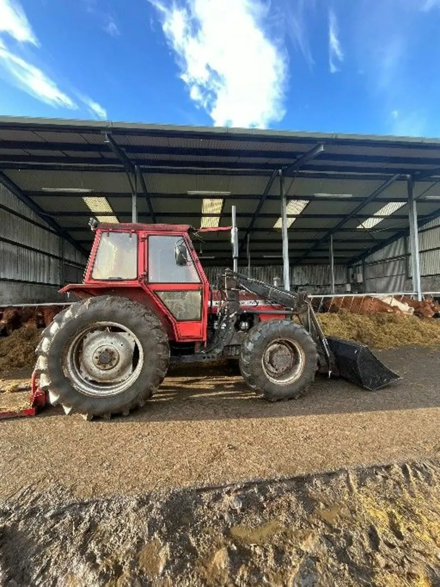Massey Ferguson Other 1986 - Image 2