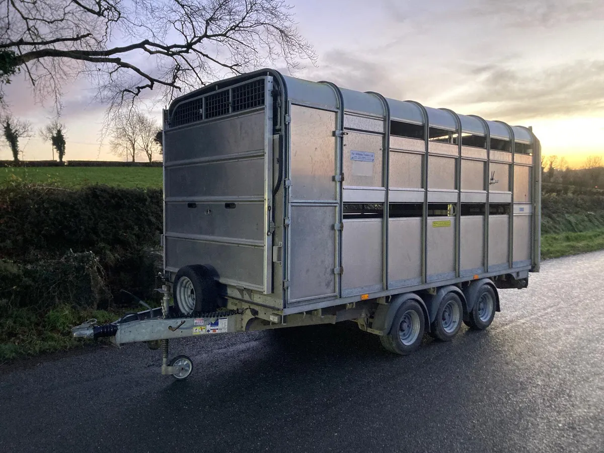 2020 Ifor Williams DP120 14ft Sheep Decks Trailer - Image 2