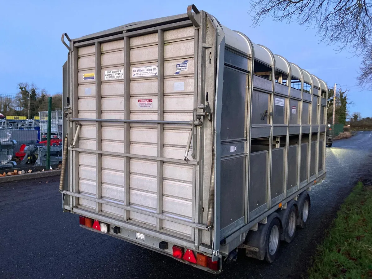 2020 Ifor Williams DP120 14ft Sheep Decks Trailer - Image 3