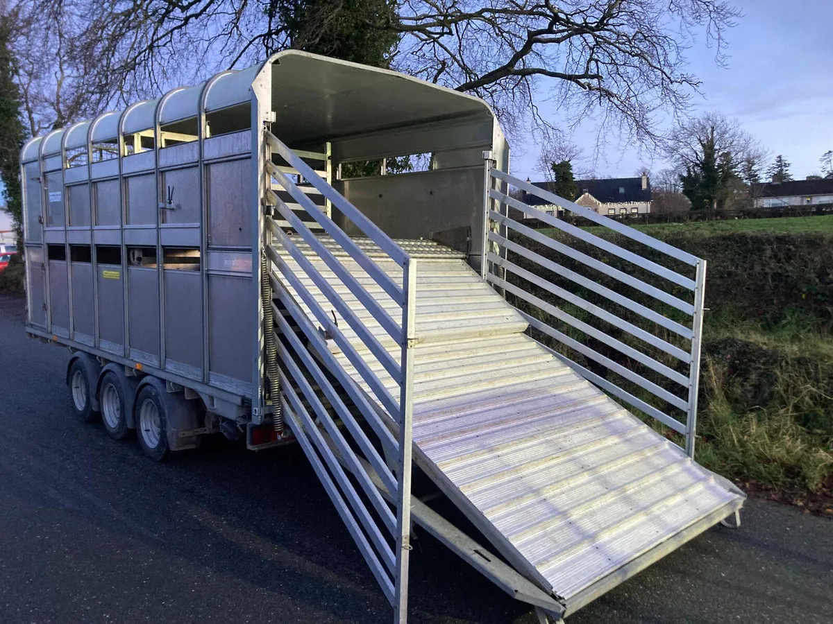 2020 Ifor Williams DP120 14ft Sheep Decks Trailer - Image 1