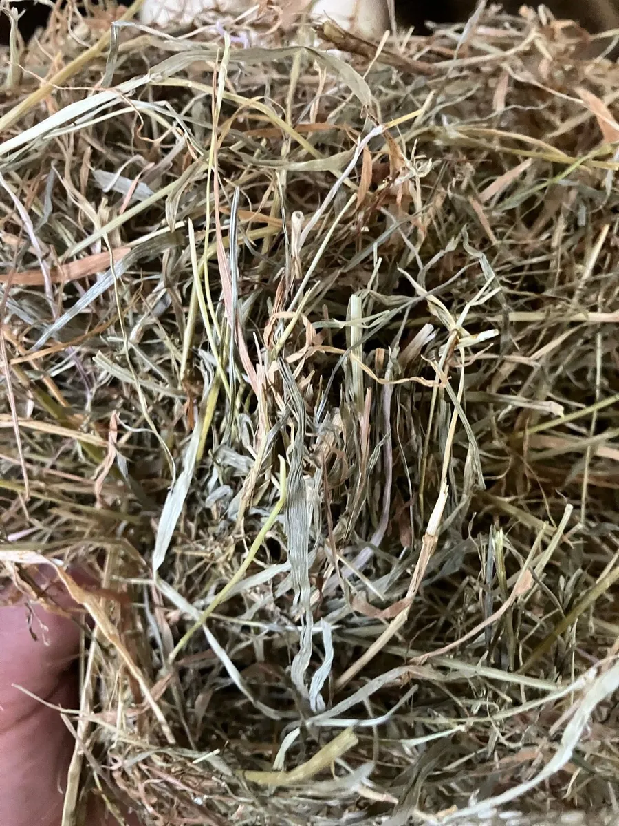 Haylage/Silage - Image 1