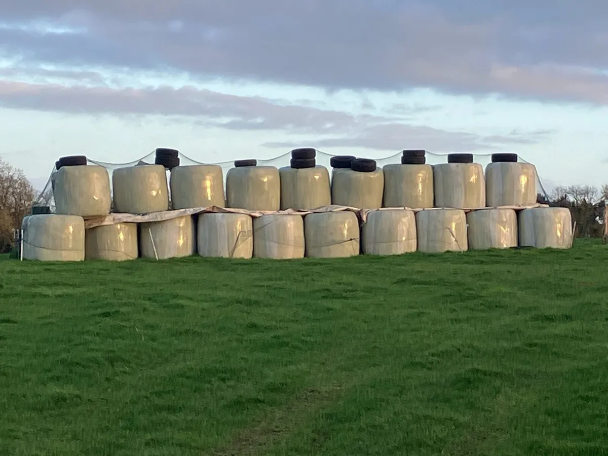 Haylage/Silage - Image 3