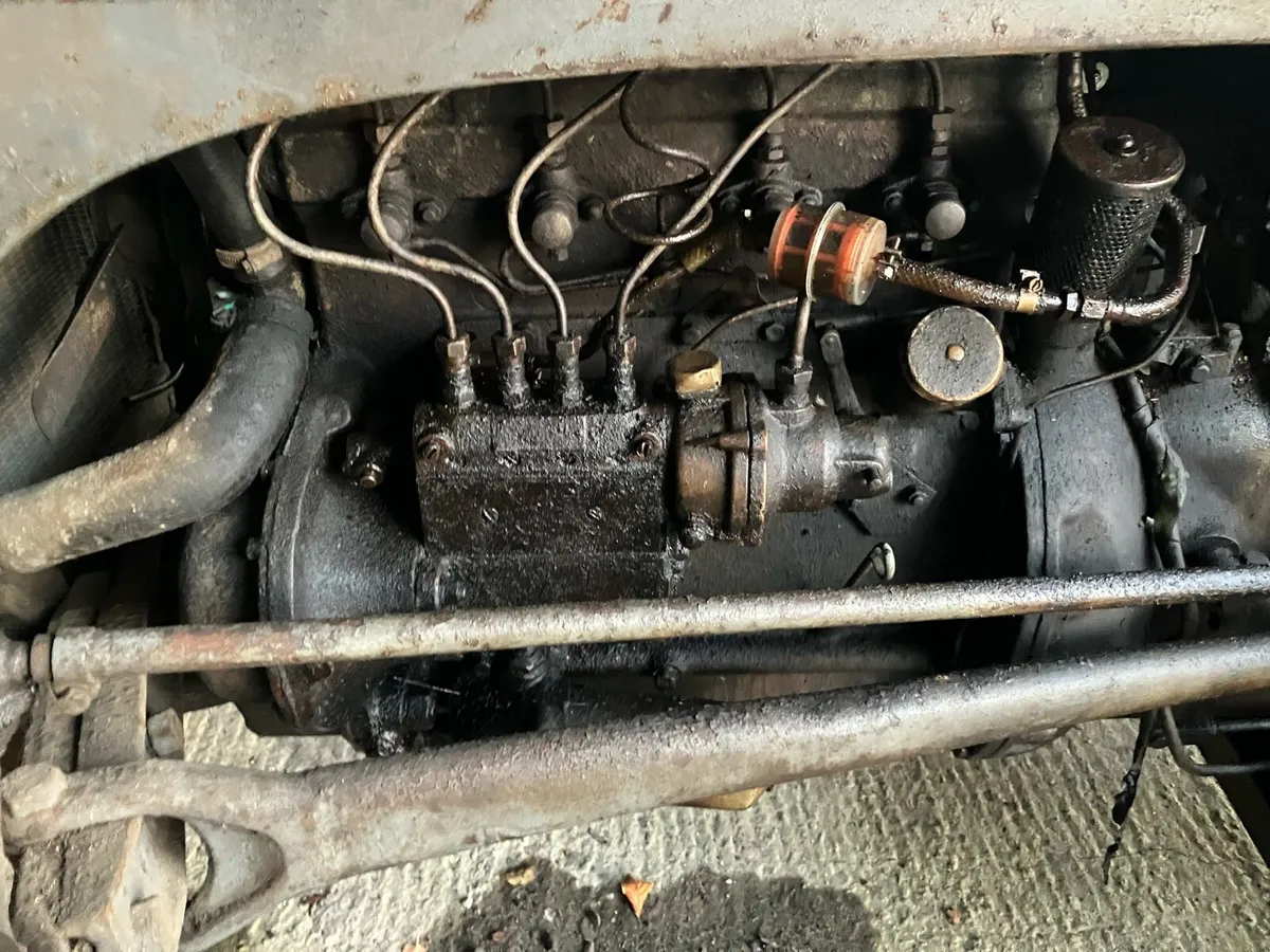 Ferguson 20 - Image 4