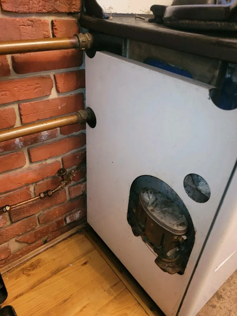 Oil cleopatra - Image 3