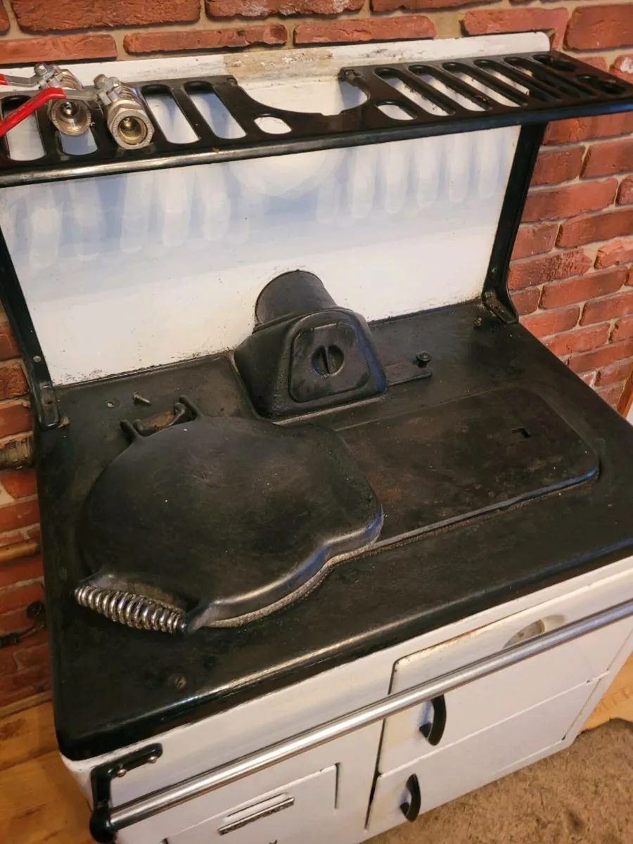 Oil cleopatra - Image 4