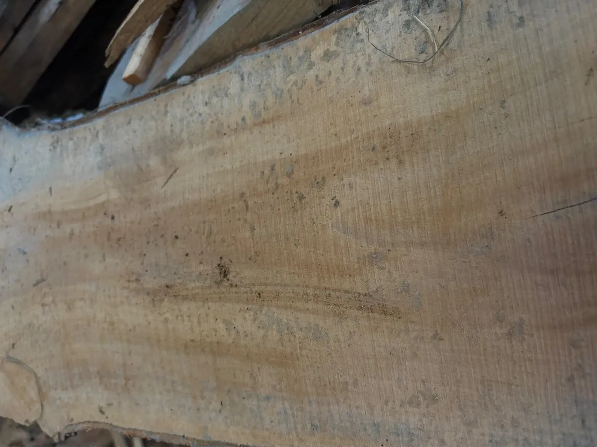 Apple Hardwood Planks - Woodworking - Woodturning - Image 1