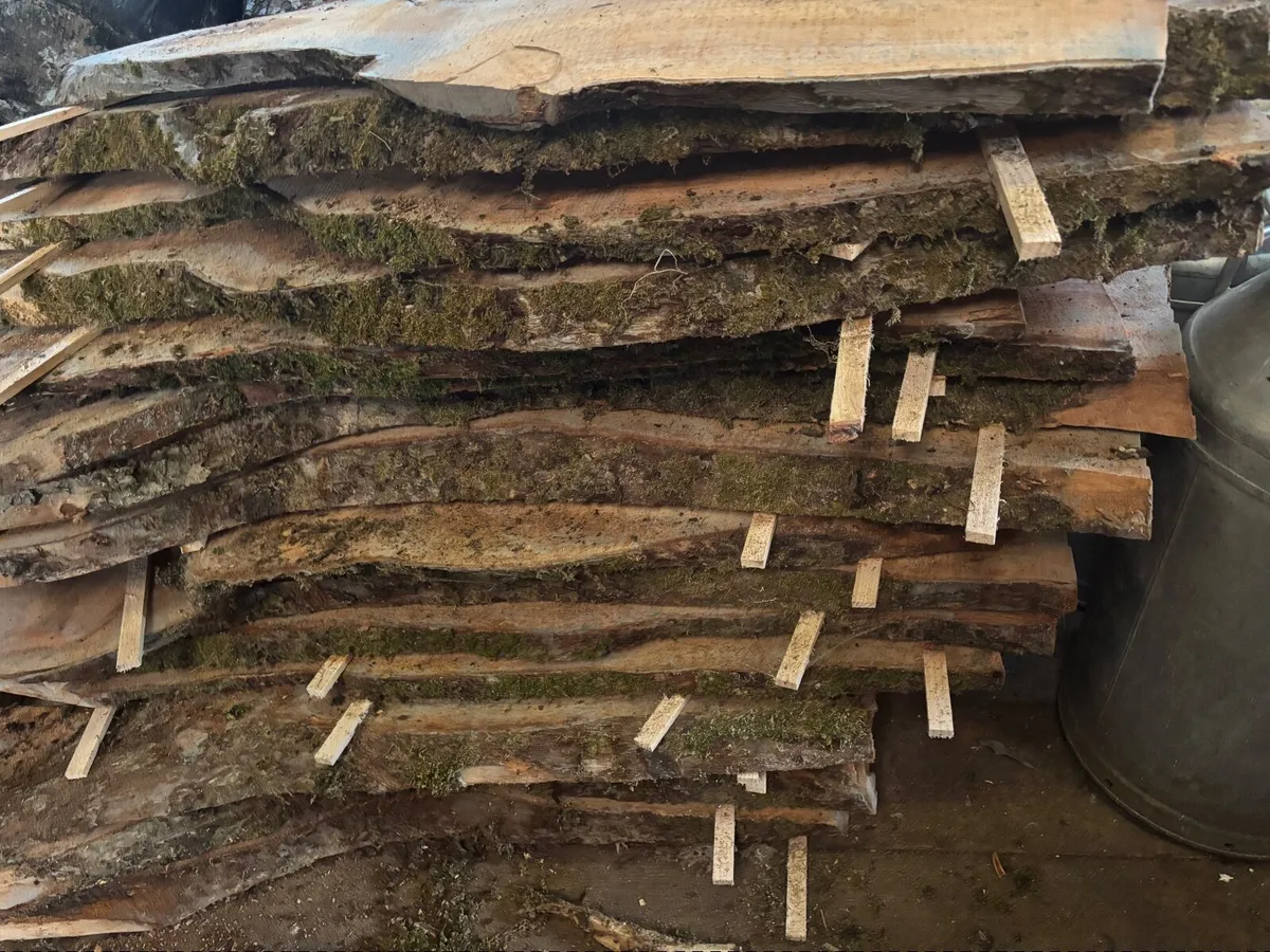 Apple Hardwood Planks - Woodworking - Woodturning - Image 2