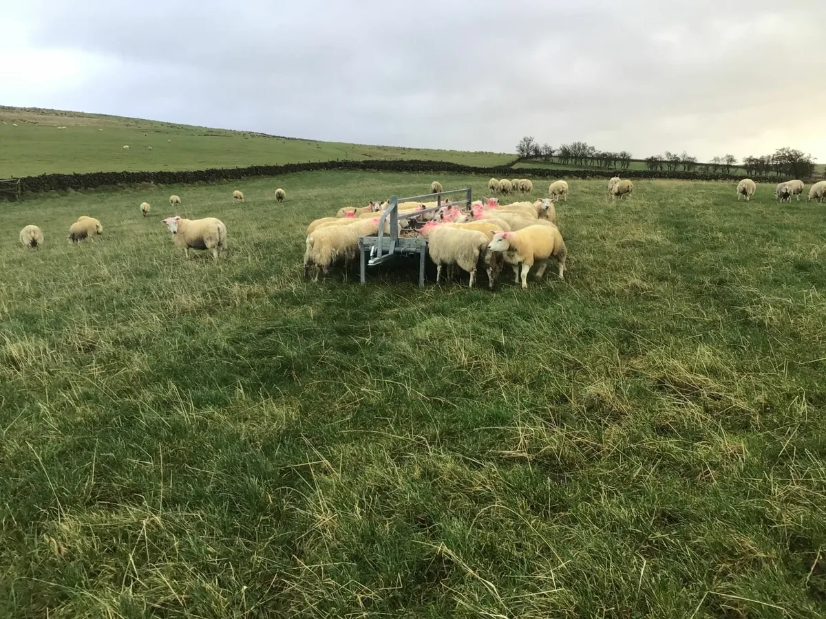 Livestock feed trailer - Image 2