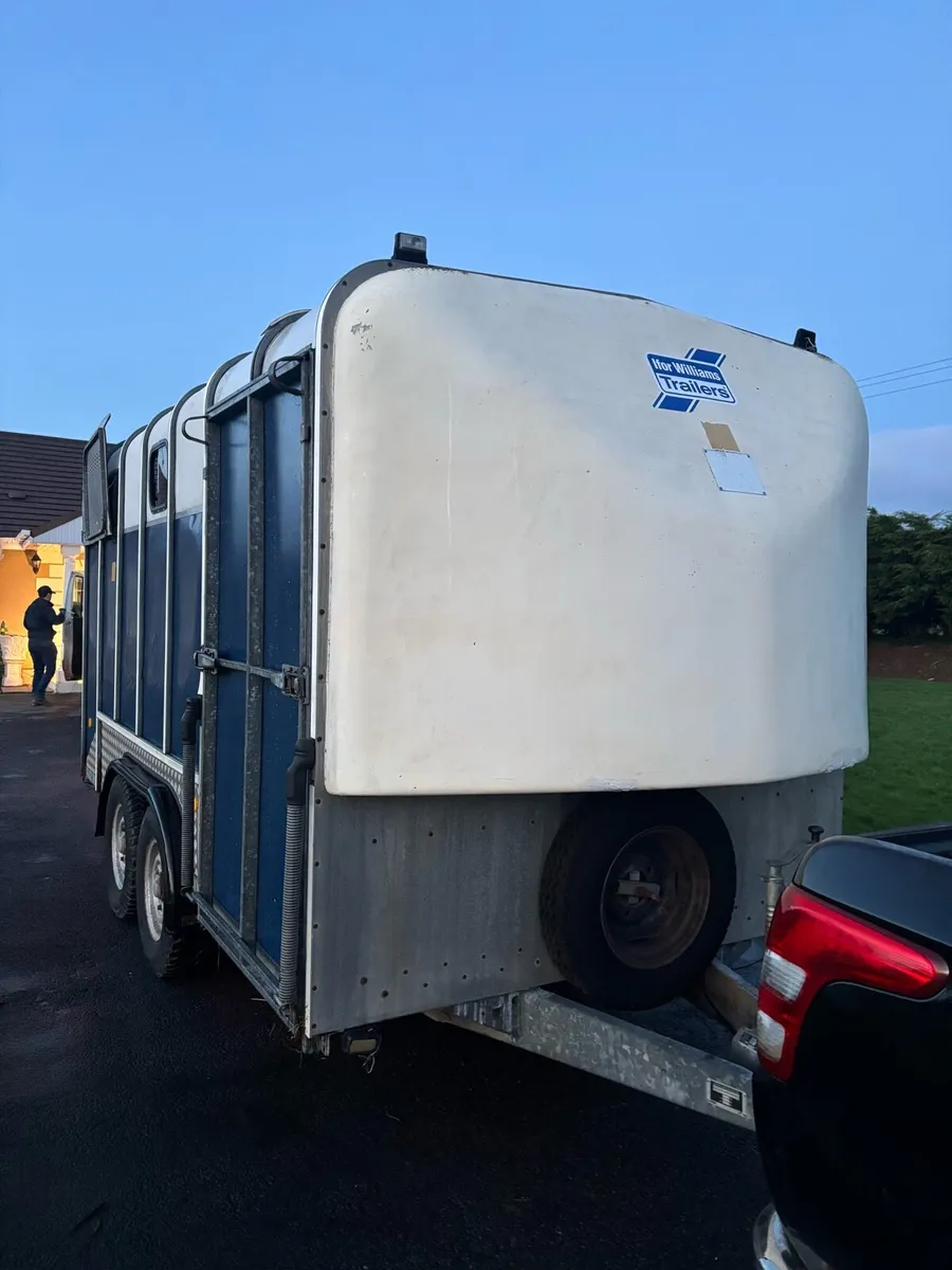 Iforwilliams jumbo - Image 1